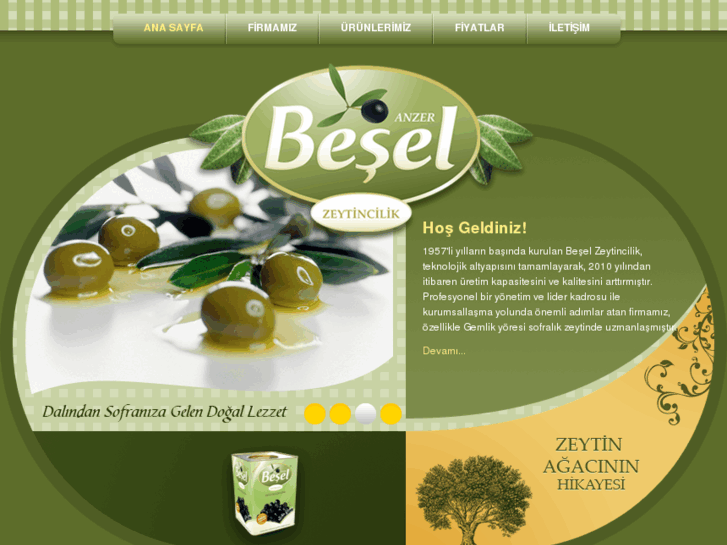 www.beselzeytincilik.com