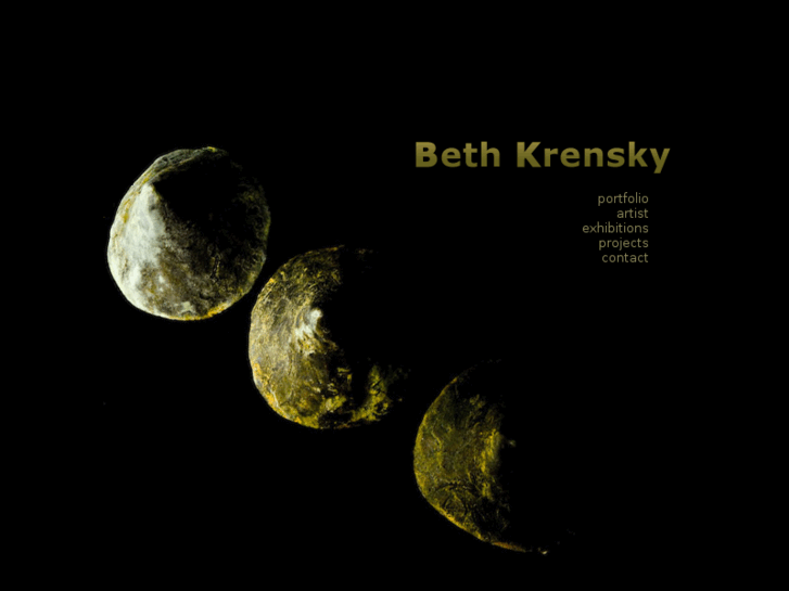 www.bethkrensky.com