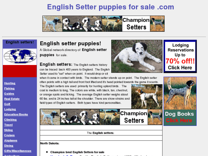 www.englishsetterpuppiesforsale.com