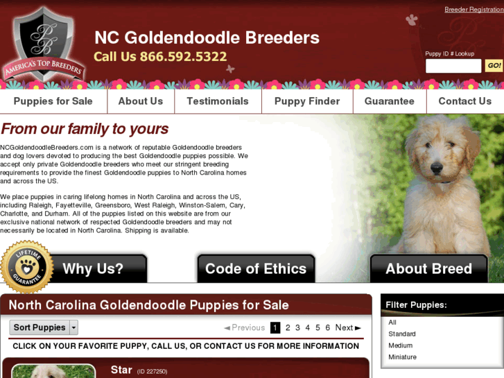 www.ncgoldendoodlebreeders.com