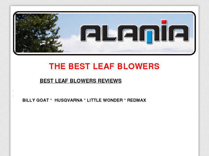 www.blowersleaf.com