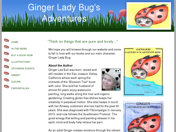 www.gingerladybug.com