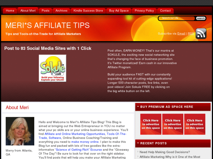www.merisaffiliatetips.com