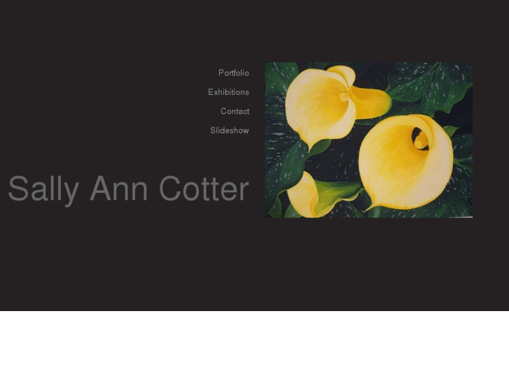 www.sallyanncotter.com