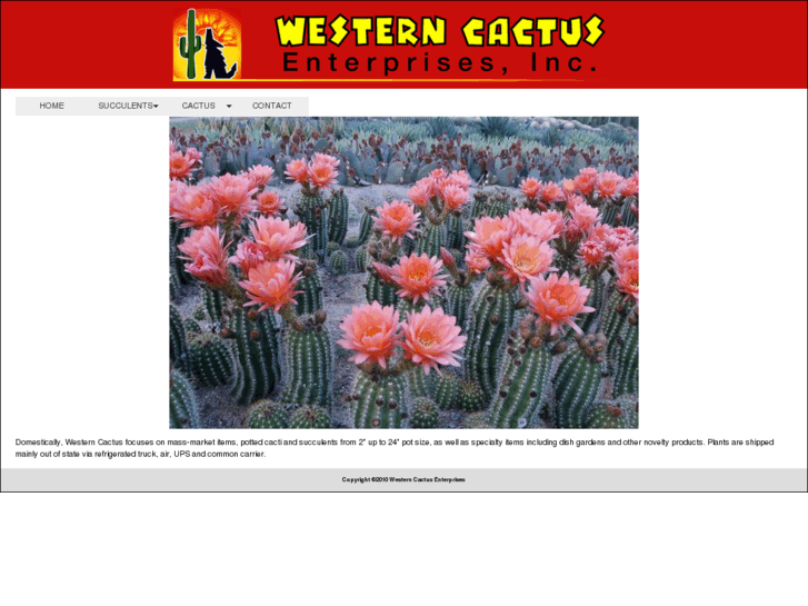 www.westerncactus.com