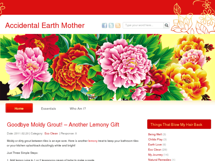 www.accidentalearthmother.com