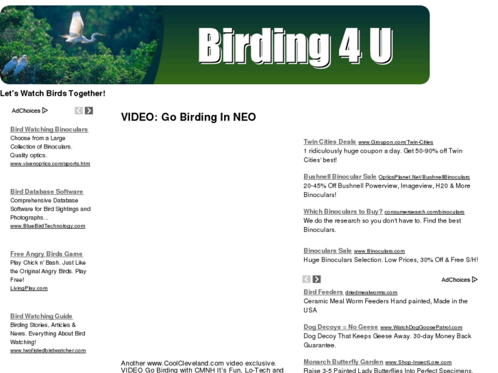 www.birding4u.com