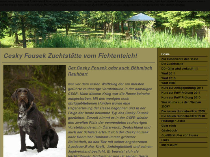 www.cesky-fousek-zucht.com