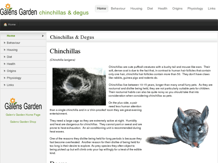 www.chinchillas-and-degus.co.uk