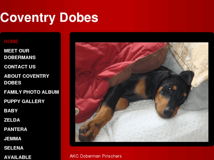 www.coventrydobes.com