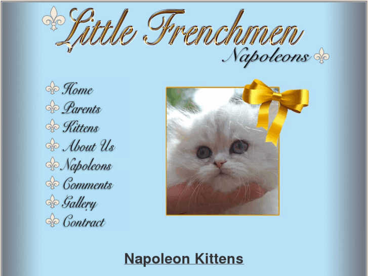 www.napoleonkitten.com