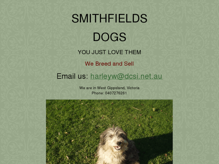 www.smithfielddogs.com