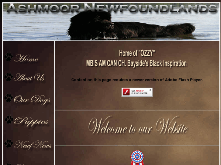 www.ashmoornewfoundlands.com