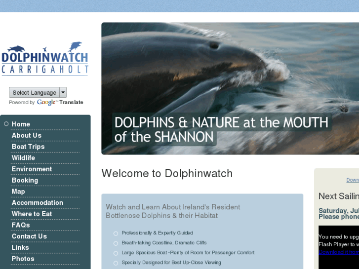 www.dolphinwatch.ie