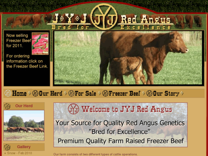 www.jyjredangus.com