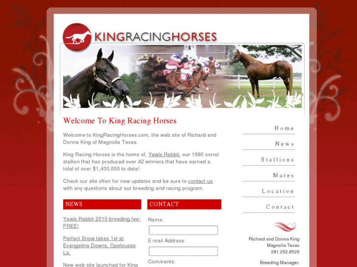 www.kingracinghorses.com