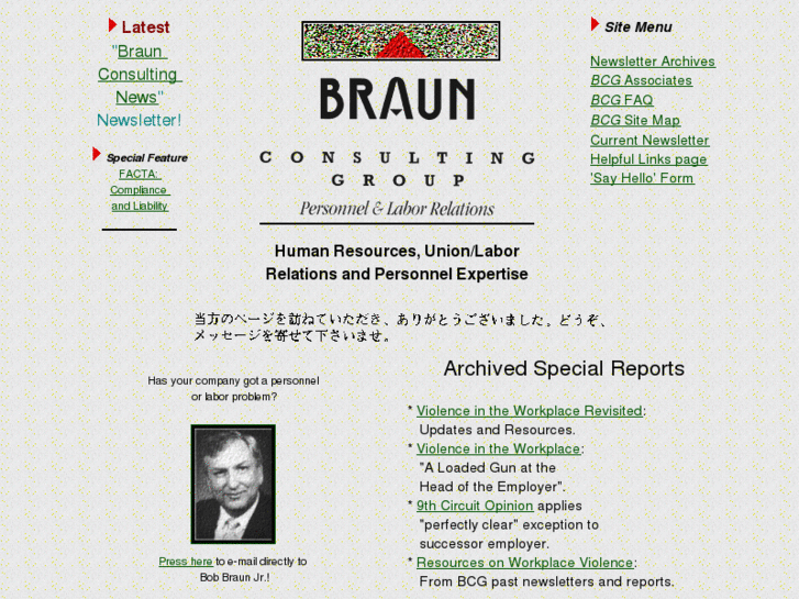 www.braunconsulting.com