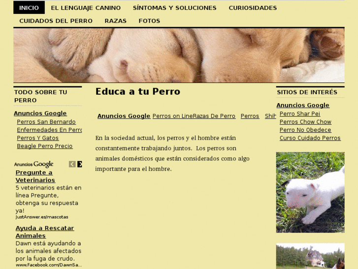 www.educa-a-tu-perro.com