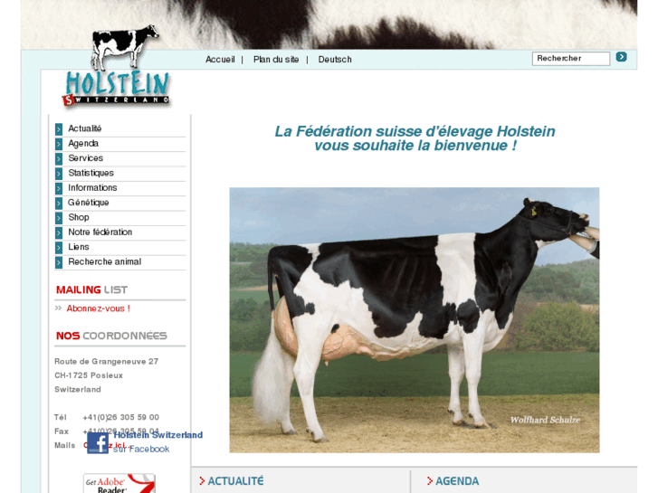 www.holstein.ch