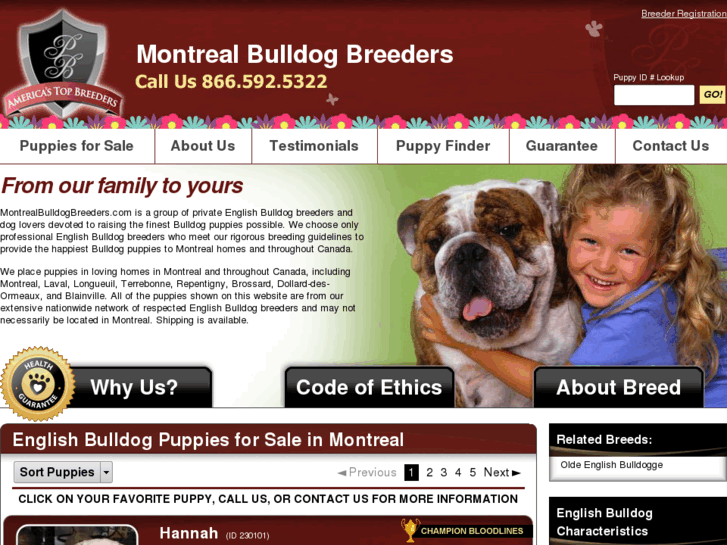 www.montrealbulldogbreeders.com