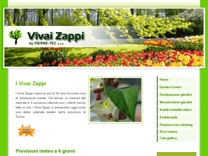 www.vivaizappi.com