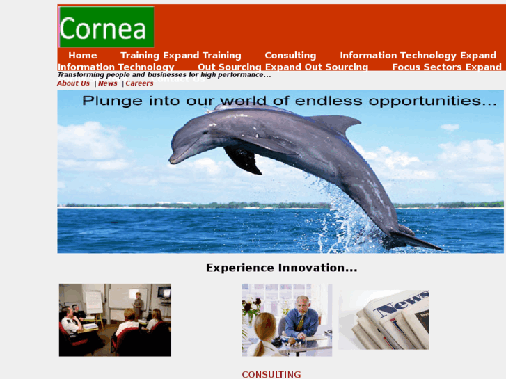 www.cornea-consulting.com