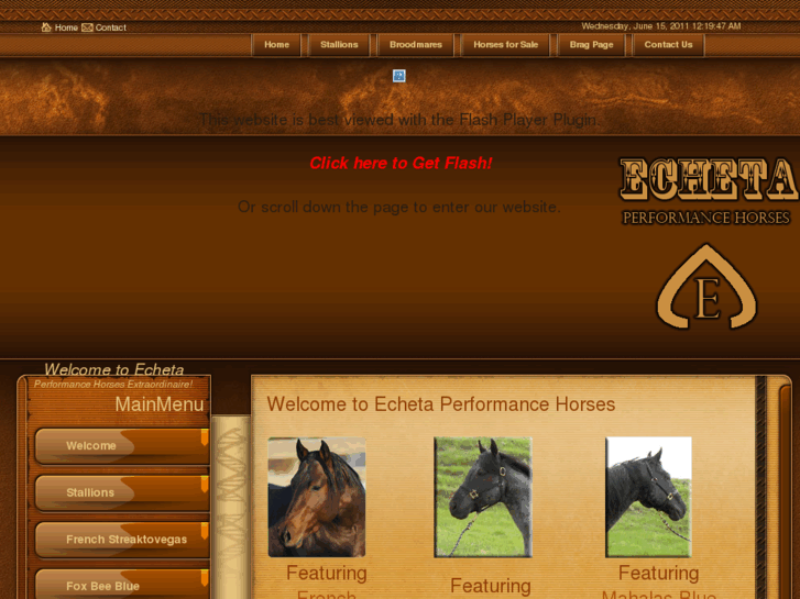 www.echetahorses.com