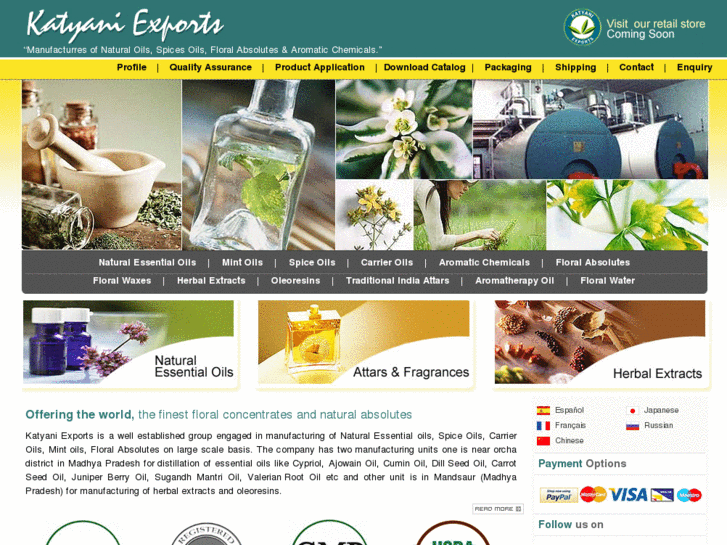 www.katyaniexport.com