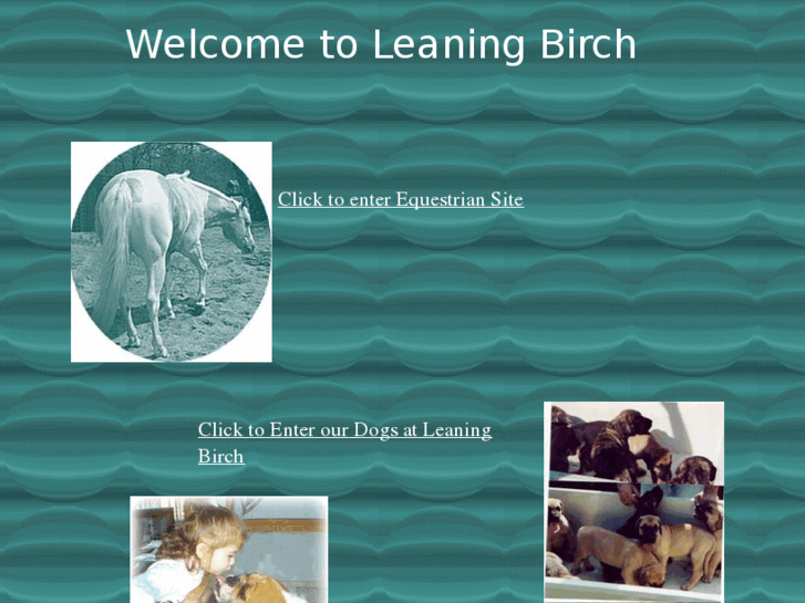 www.leaningbirchequestriancenter.com