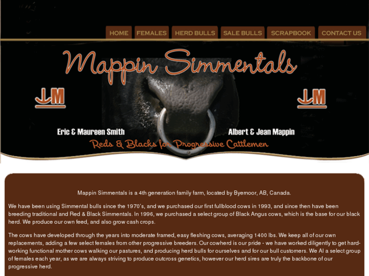 www.mappinsimmentals.com