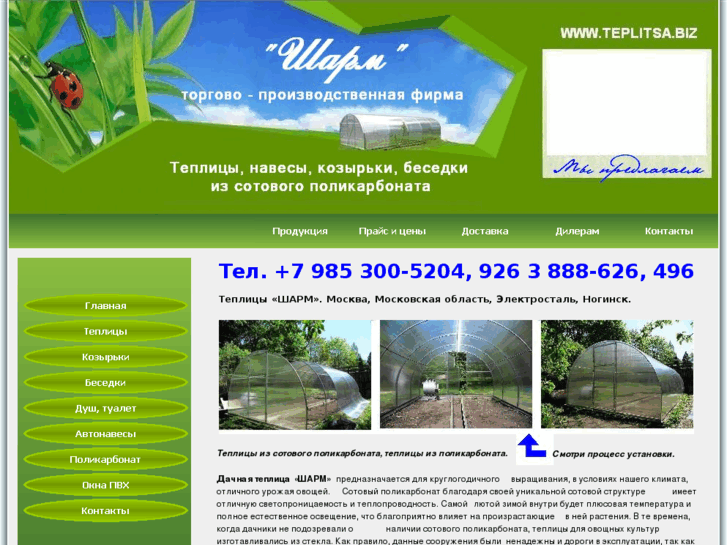 www.teplitsa.biz