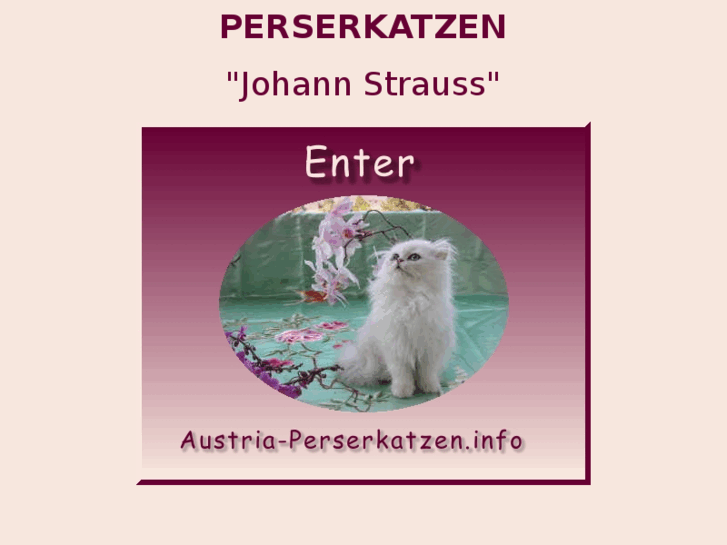 www.austria-perserkatzen.info