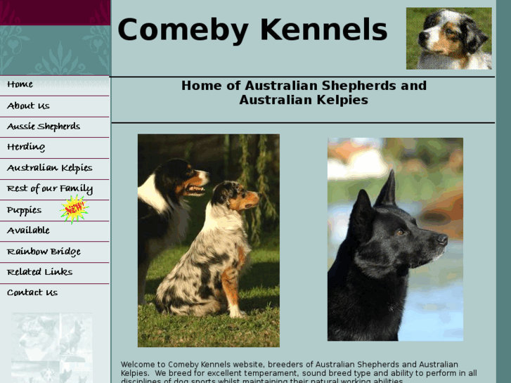 www.comebykennels.com