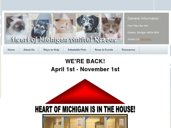 www.heartofmichiganrescue.com