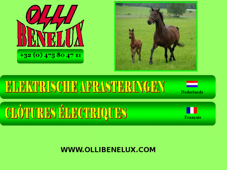 www.ollibenelux.com