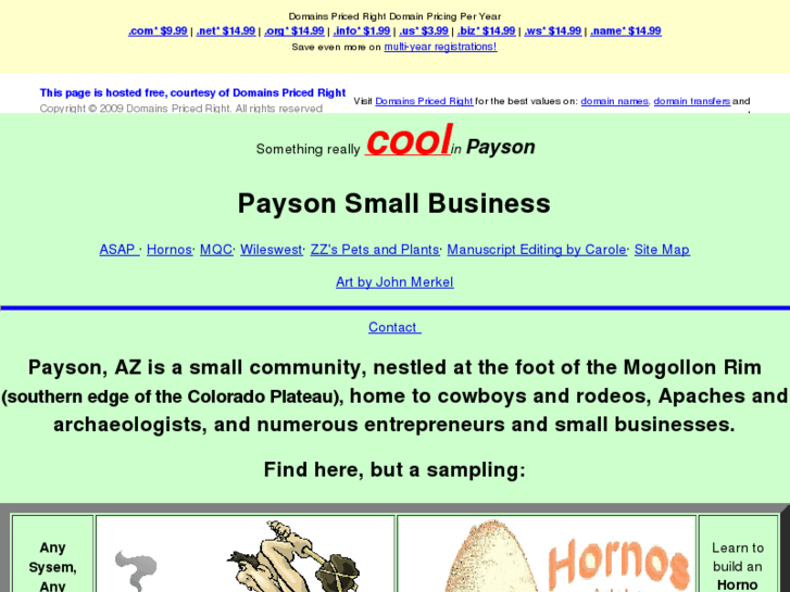 www.paysonsmallbusiness.com