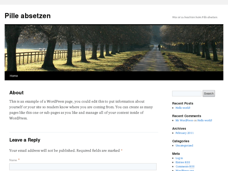 www.pilleabsetzen.com