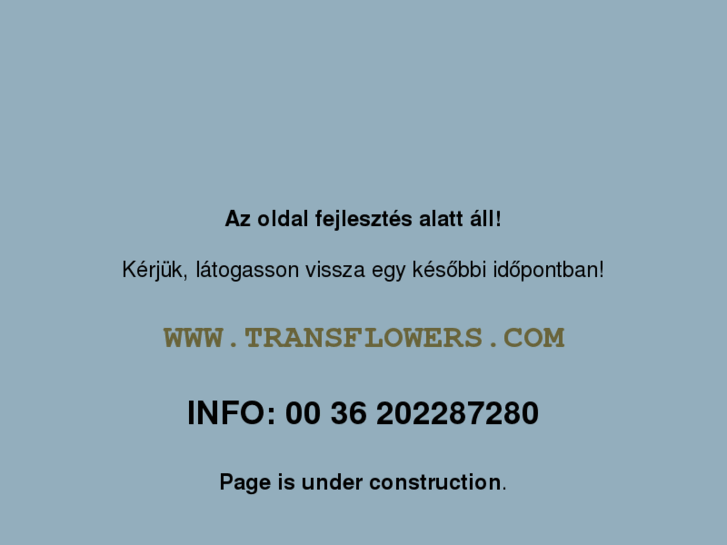 www.transflowers.com