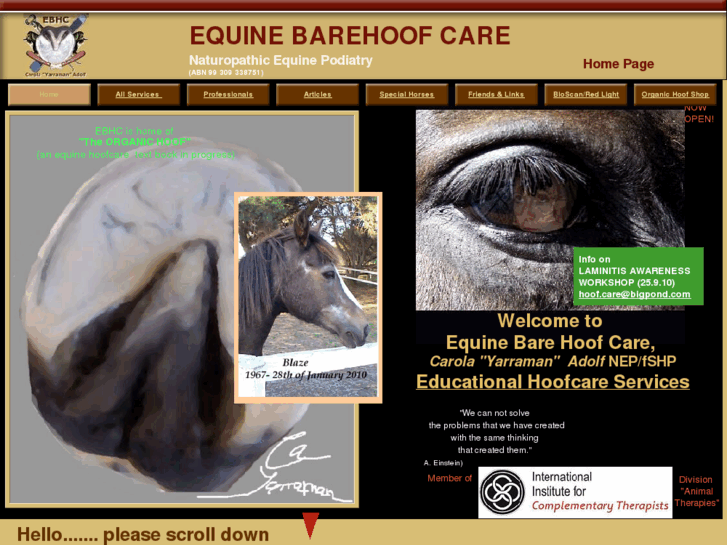 www.equinebarehoofcare.org