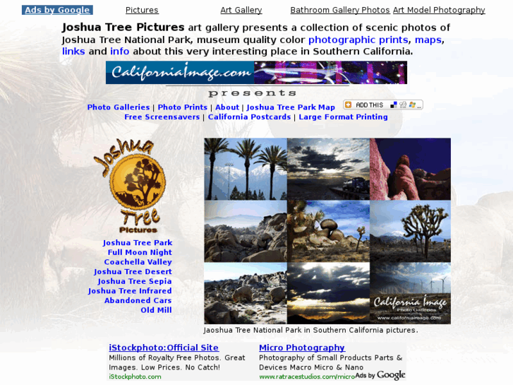 www.joshuatreepictures.com