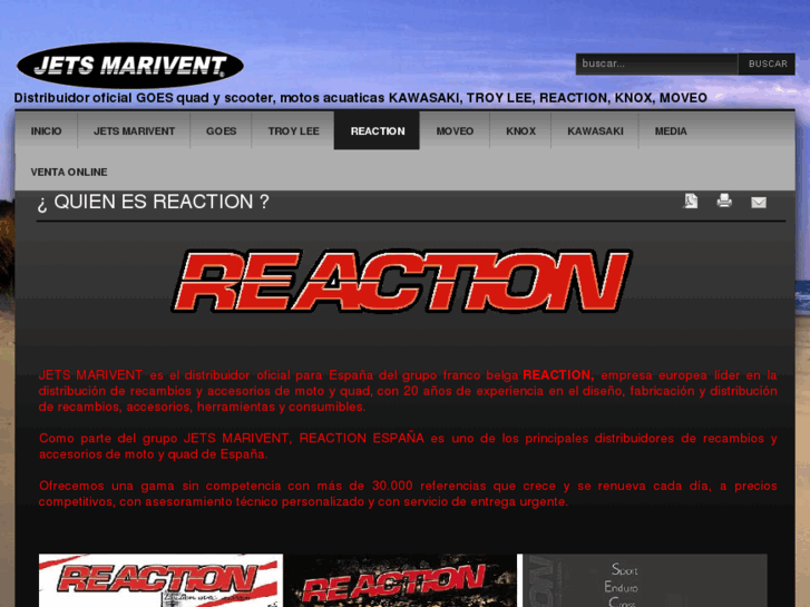 www.reaction-spain.com