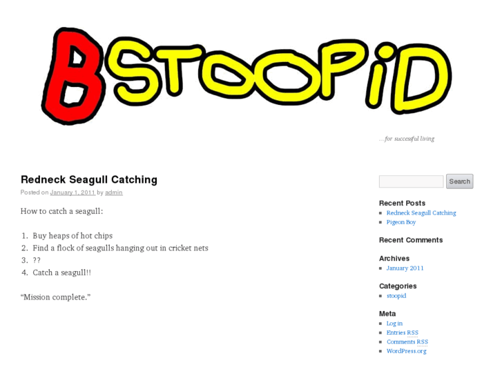www.bstoopid.com