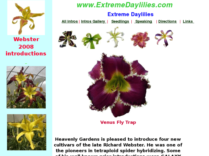 www.extremedaylilies.com