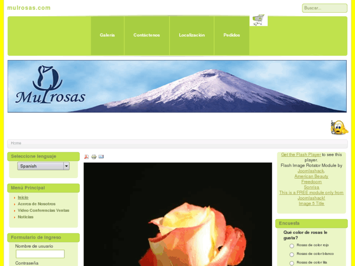 www.mulrosas.com