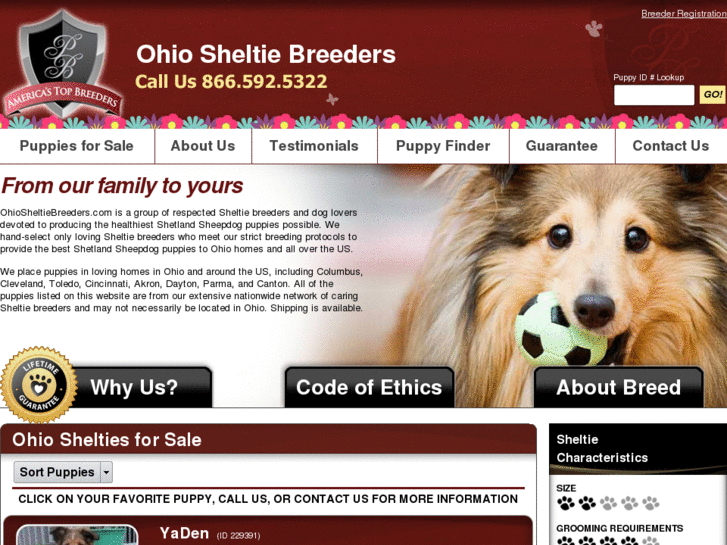 www.ohiosheltiebreeders.com