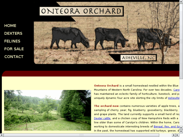 www.onteora-orchard.com