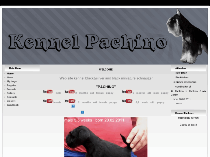 www.pachino-schnauzers.com