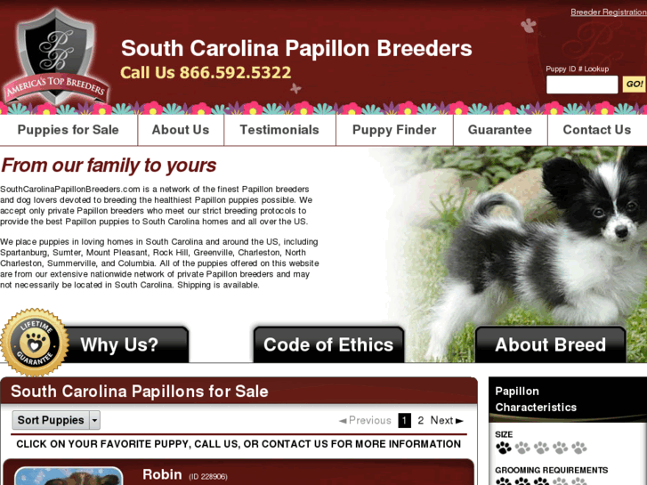 www.southcarolinapapillonbreeders.com