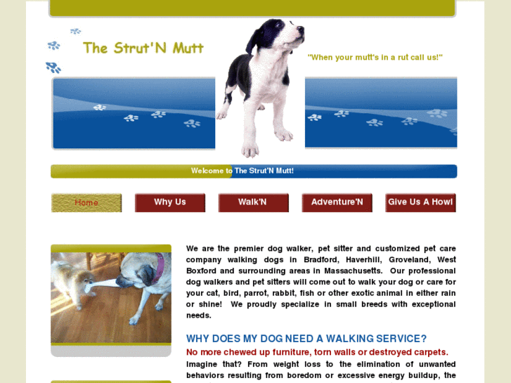 www.strutnmutt.com