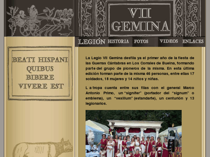 www.viigemina.es